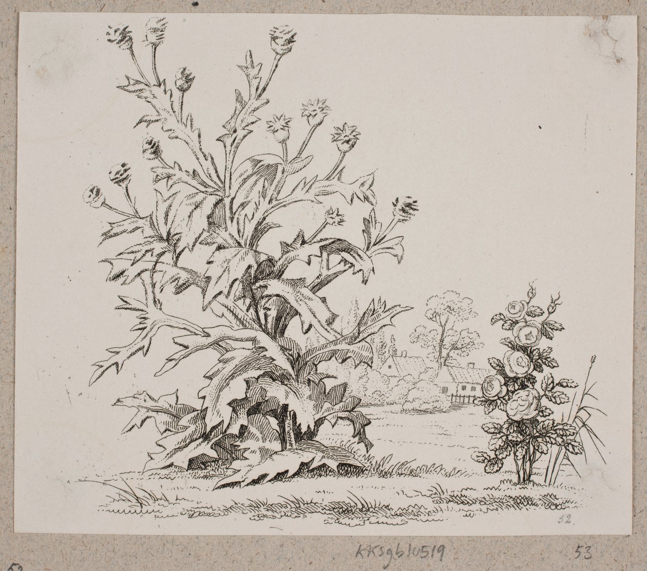Die Distel und die Rose von Oluf Olufsen Bagge
