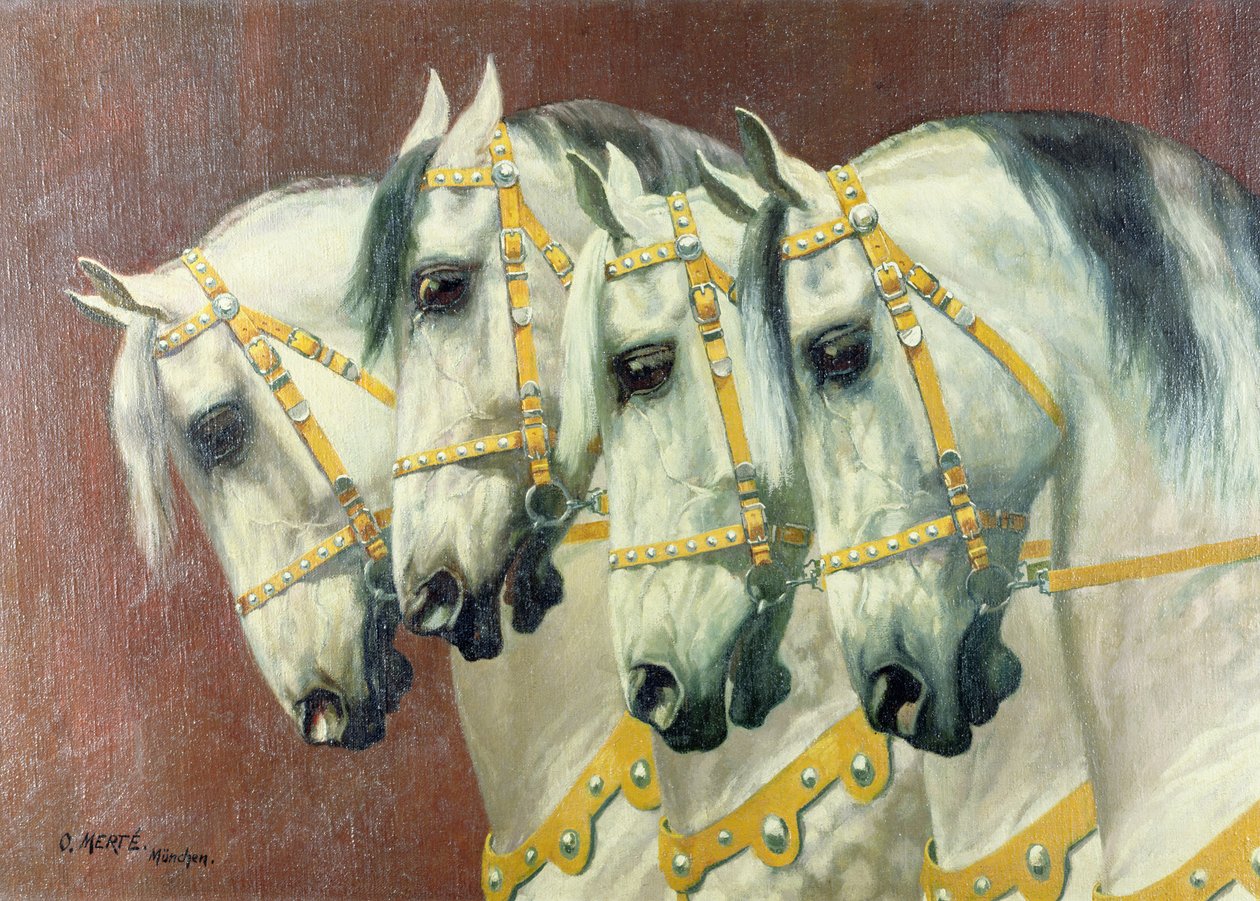 Köpfe von vier Pferden von Oskar Merte