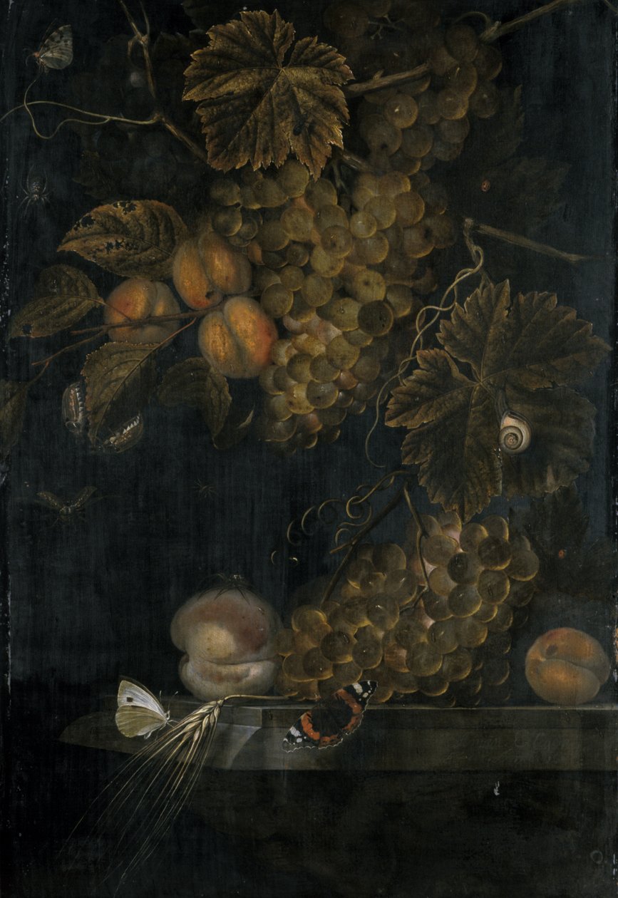 Stillleben mit Pfirsichen und Trauben, 1665 von Ottmar the Elder Elliger