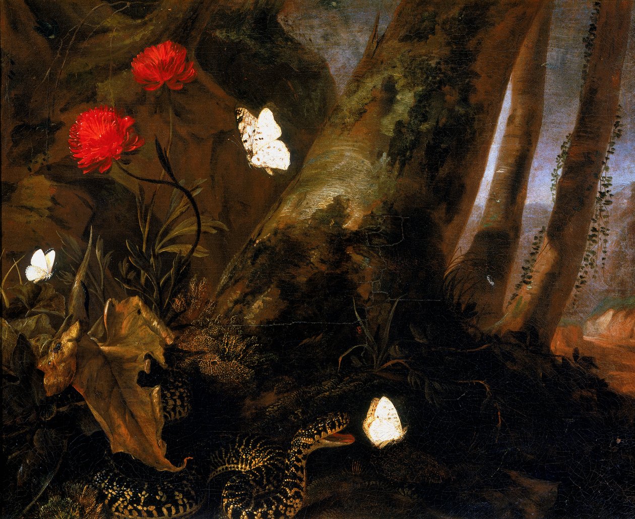 Unterholz mit Tieren von Otto Marseus  van Schrieck
