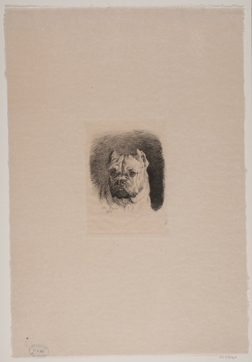 Ein Hundekopf von Otto Bache