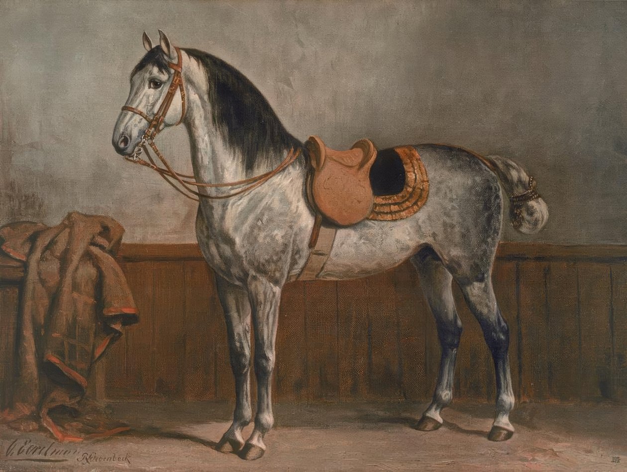 Lipizzaner von Otto Eerelman