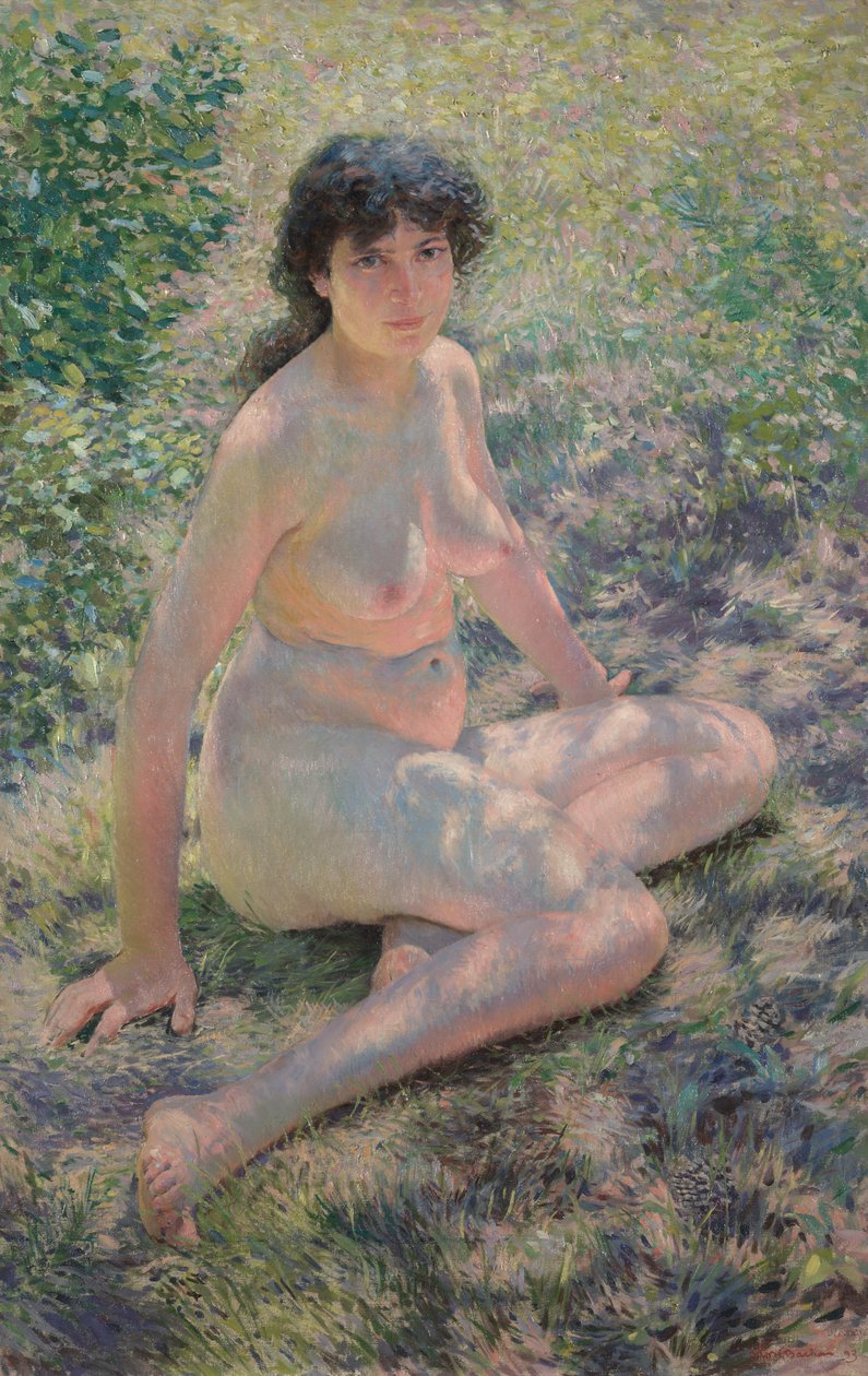 Juli, 1893 von Otto H. Bacher