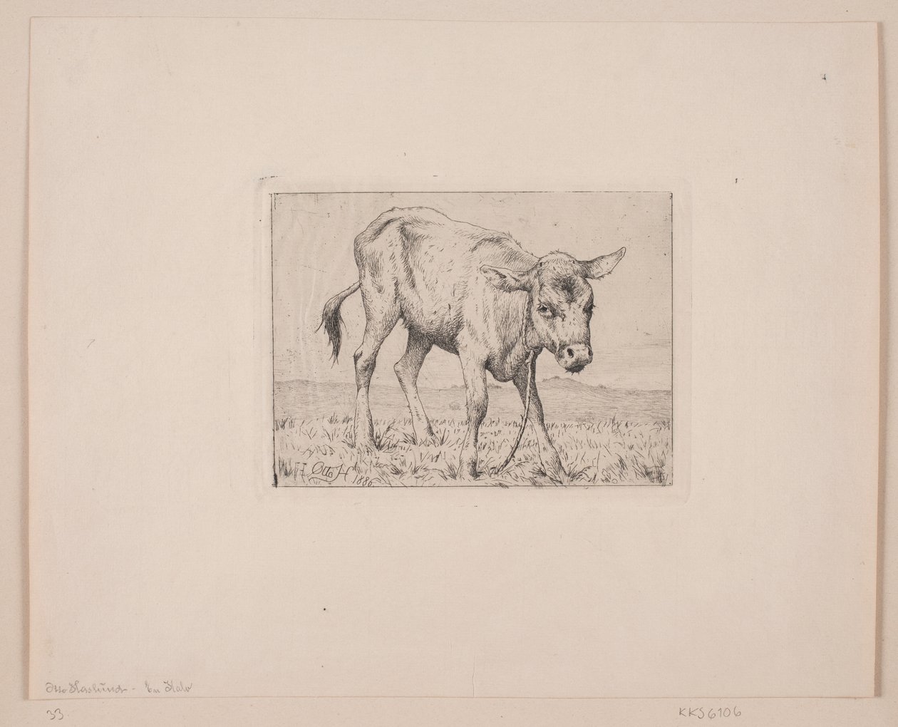 Ein Kalb von Otto Haslund