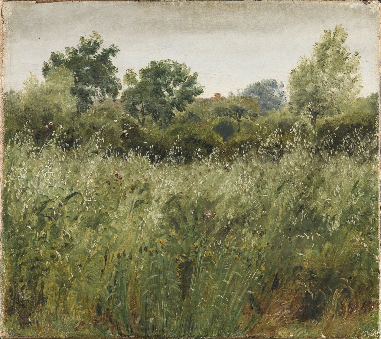 Haferfeld bei Vejby von P.C. Skovgaard