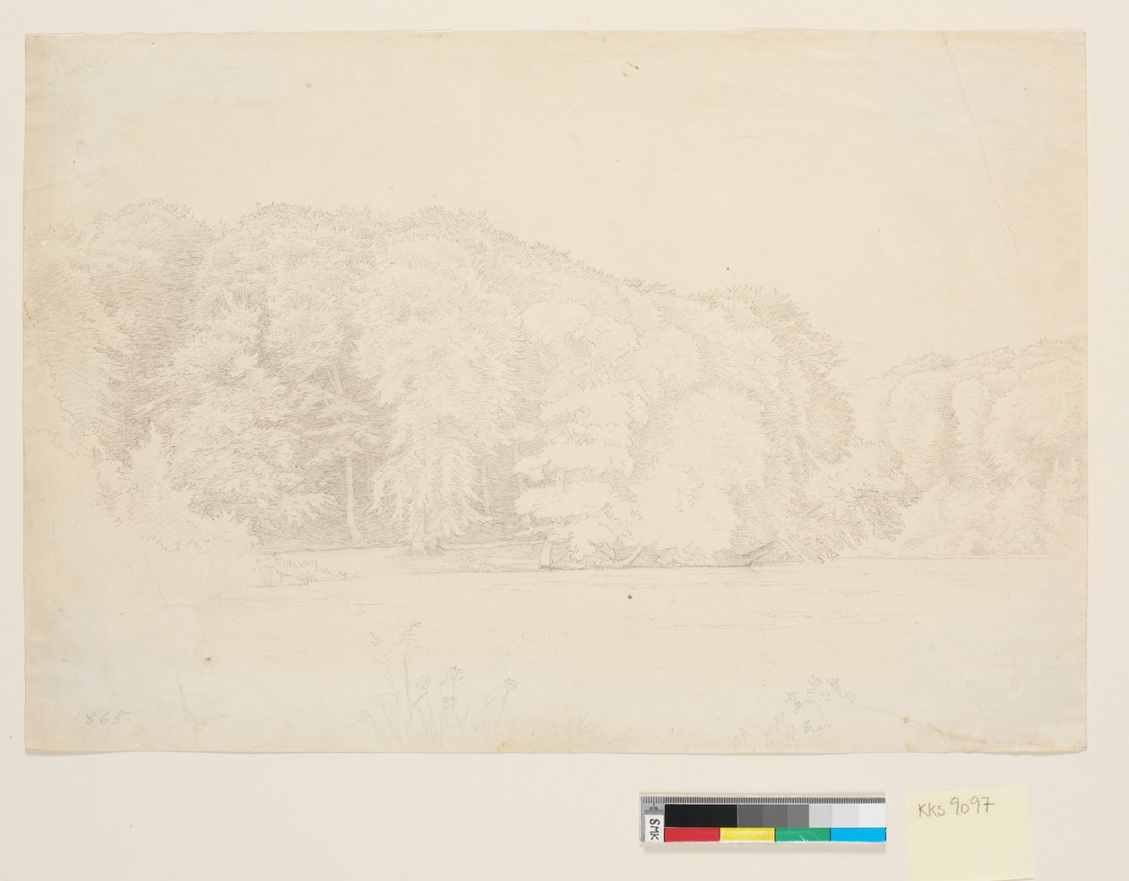 Waldsee mit großen Buchen im Hintergrund von P.C. Skovgaard