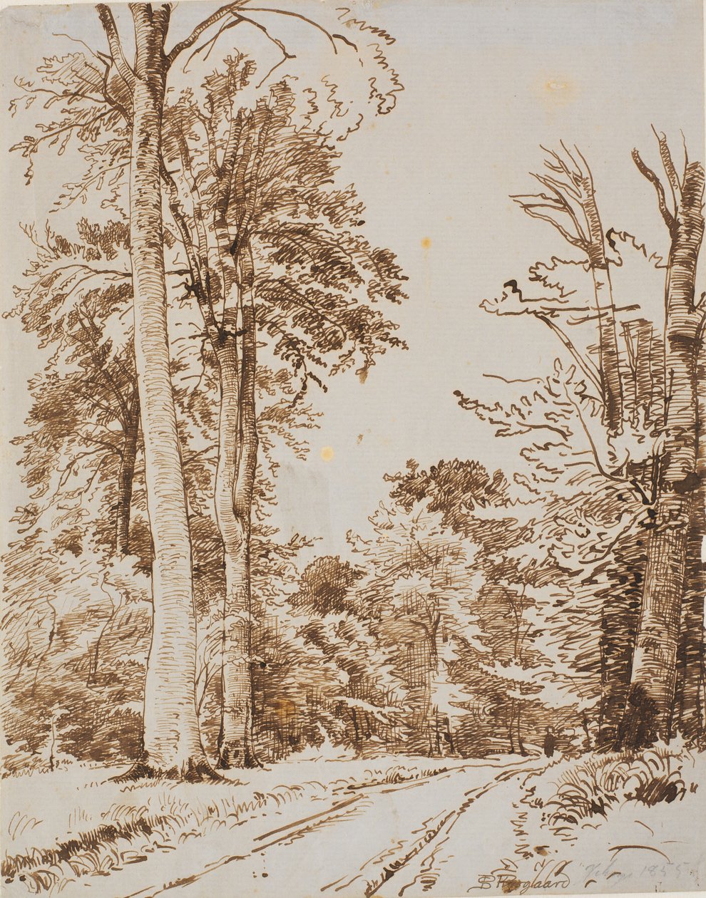 Waldweg. Iselinge von P.C. Skovgaard
