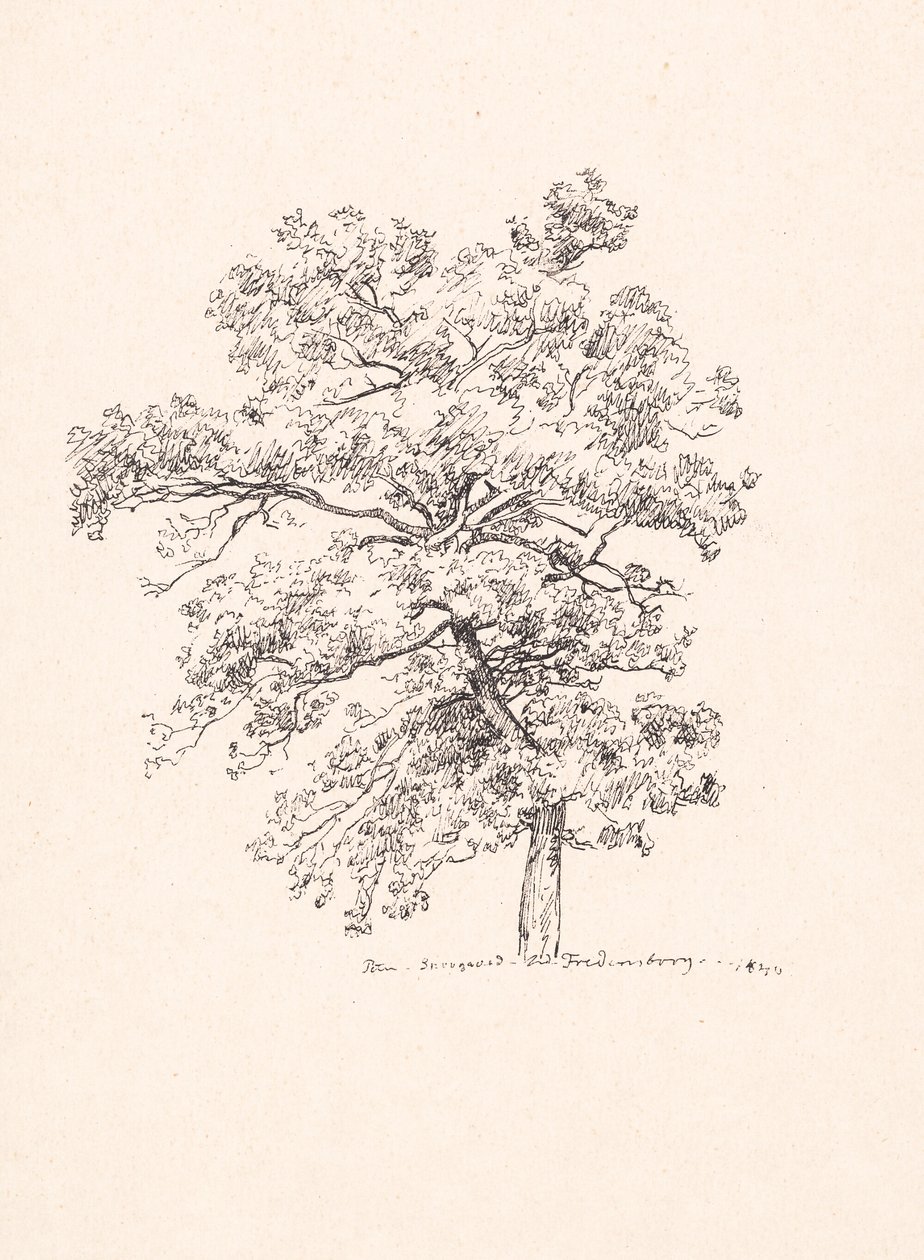 Baum bei Fredensborg von P.C. Skovgaard