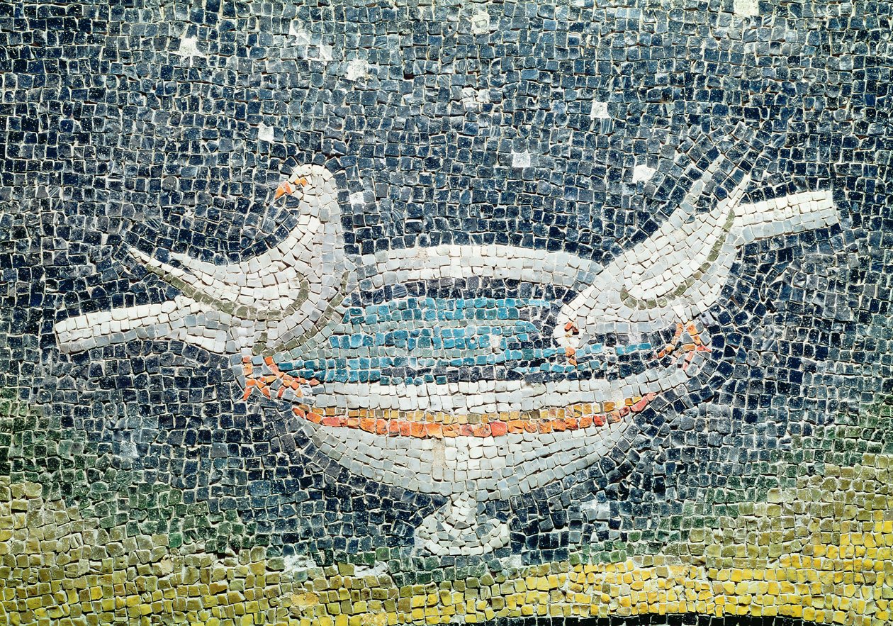 Tauben trinken aus einer Schale, ca. 430 n. Chr. (Mosaik) von Paleo Christian