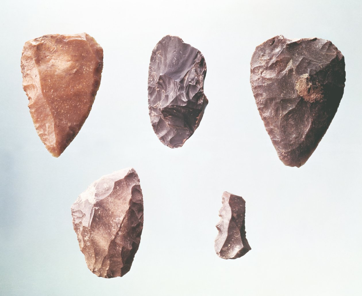 Prähistorische Steinwerkzeuge aus der Grotte de Placard, 80000-35000 v. Chr. von Paleolithic