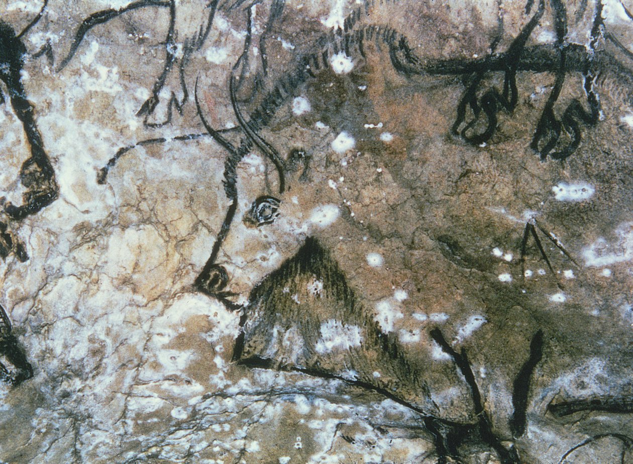 Verletzter Stier, Felsmalerei, Magdalénien von Paleolithic Paleolithic