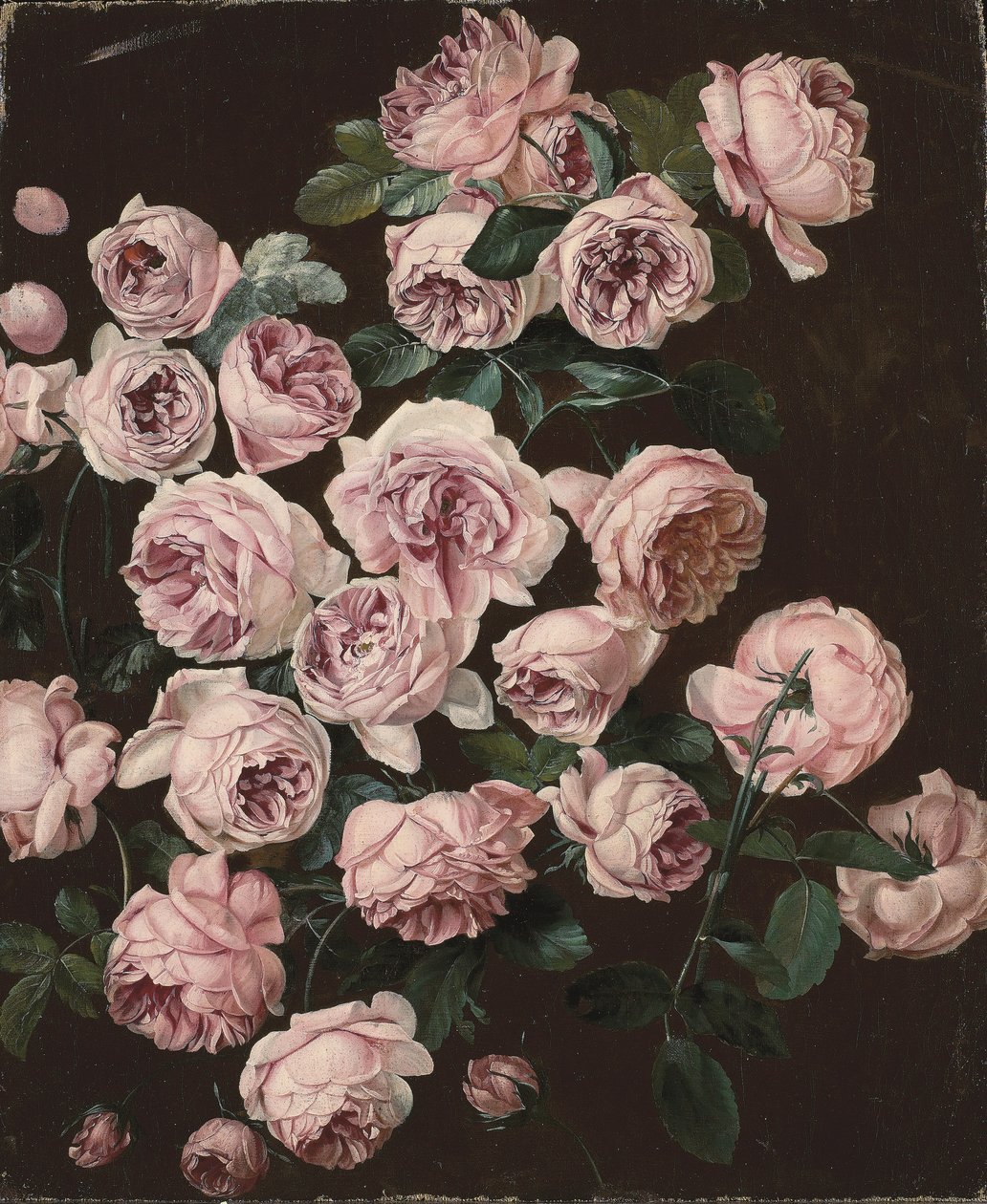 Ein Rosenstrauch von Pancrace Bessa