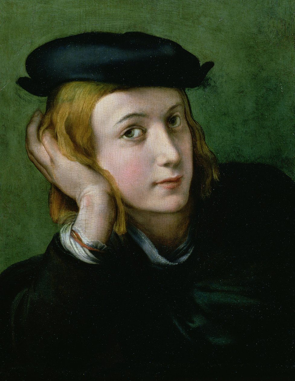 Porträt eines jungen Mannes von Parmigianino
