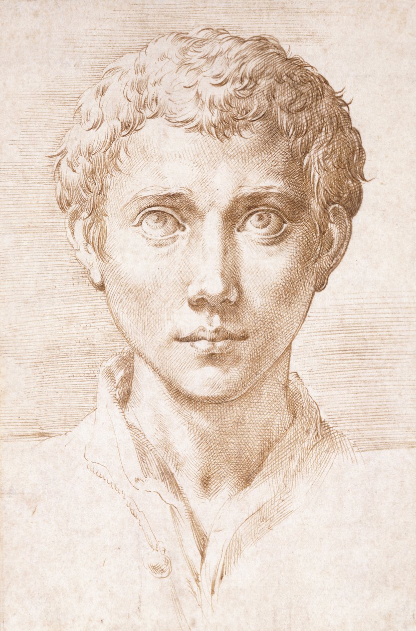 Kopf eines jungen Mannes, der nach oben schaut von Parmigianino