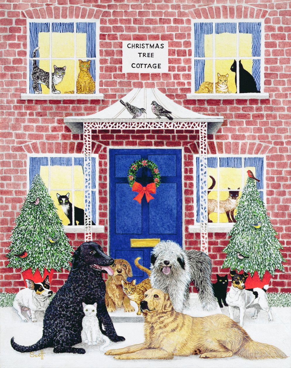 Weihnachtswärme von Pat Scott