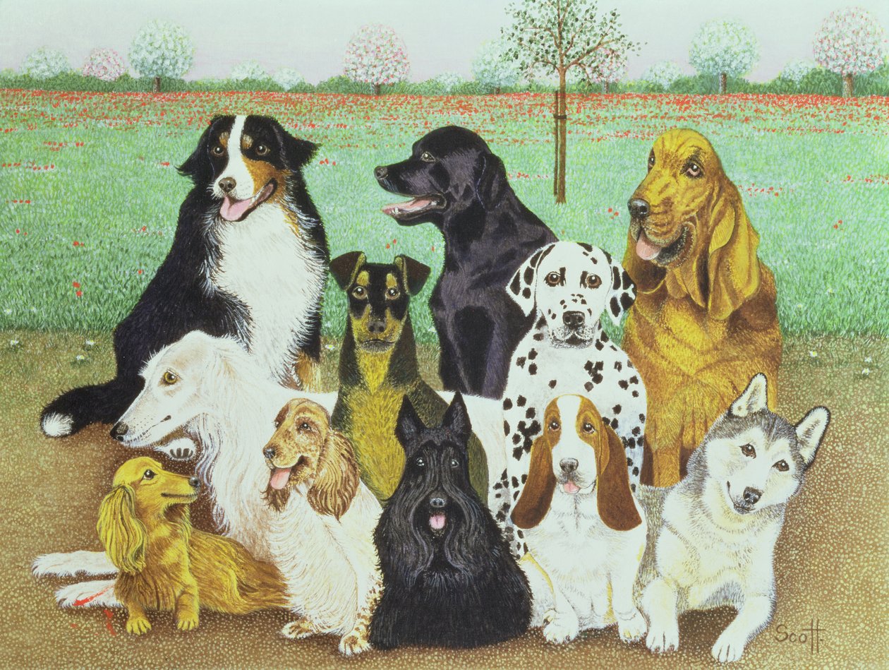 Hundewache von Pat Scott