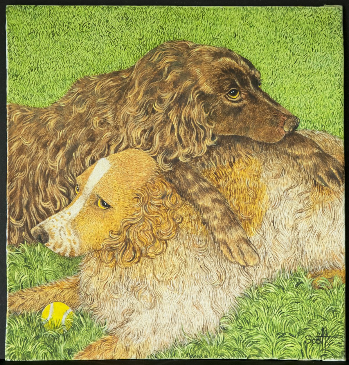 Besitz von Pat Scott