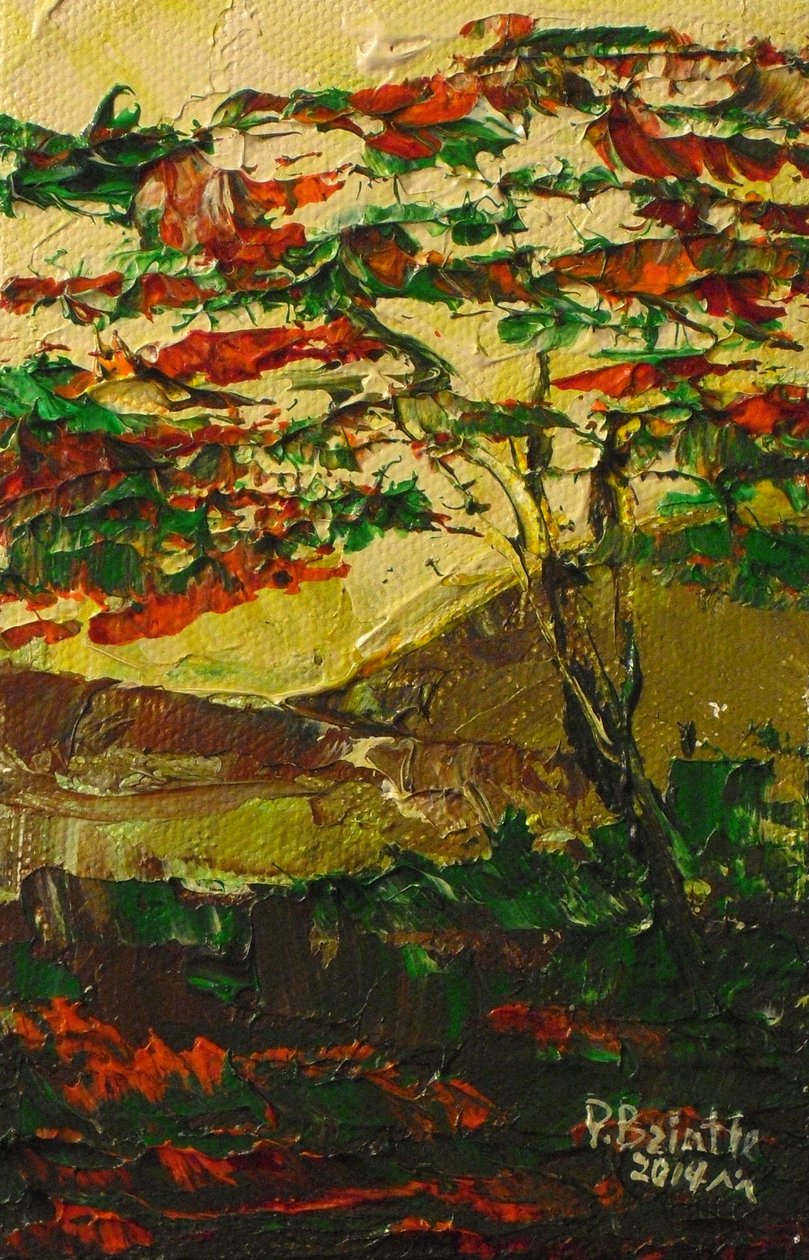 Flamboyant in Blüte, 2014 von Patricia Brintle