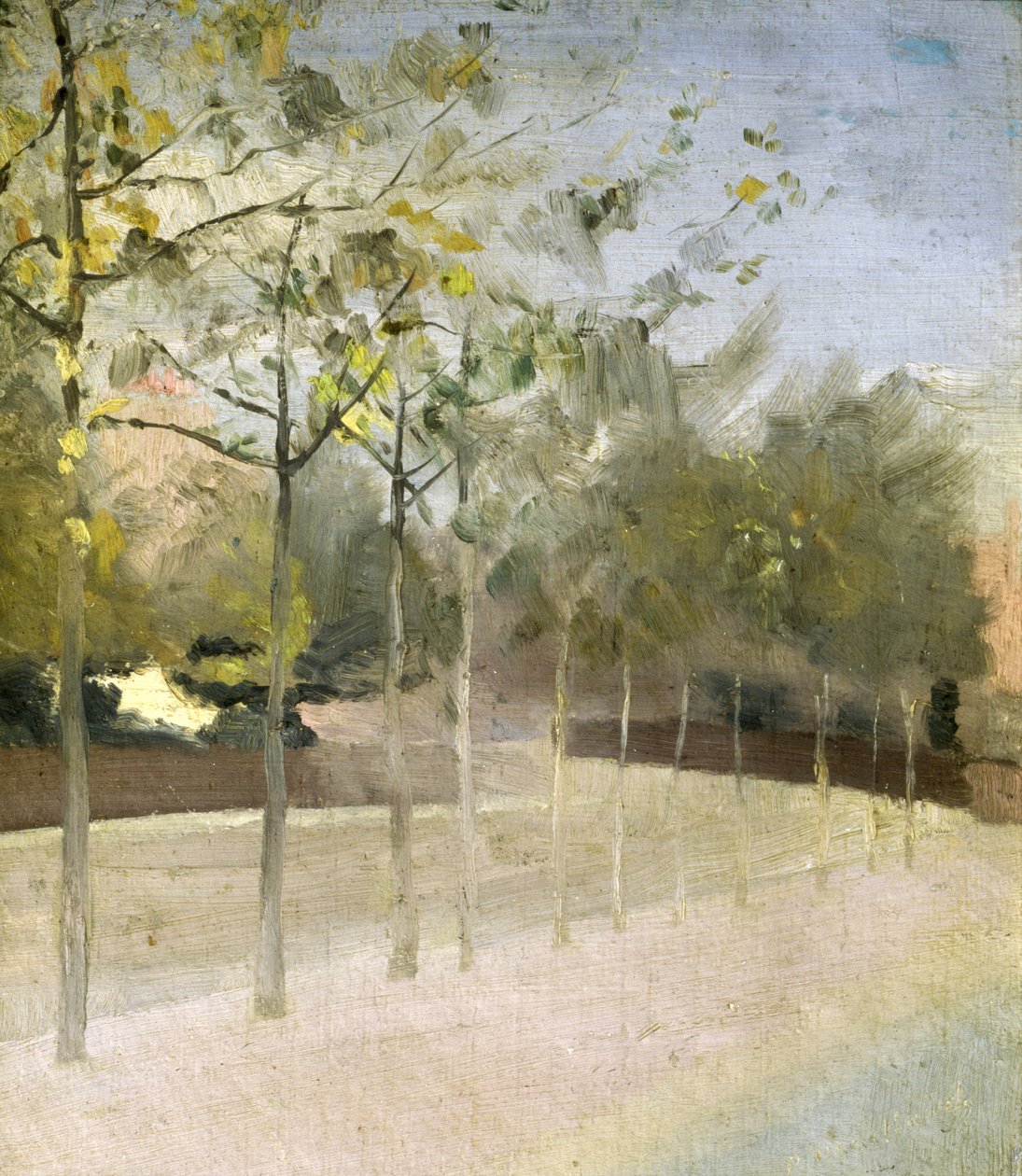 Chelsea Embankment, Platanen, 1908 von Paul Fordyce Maitland