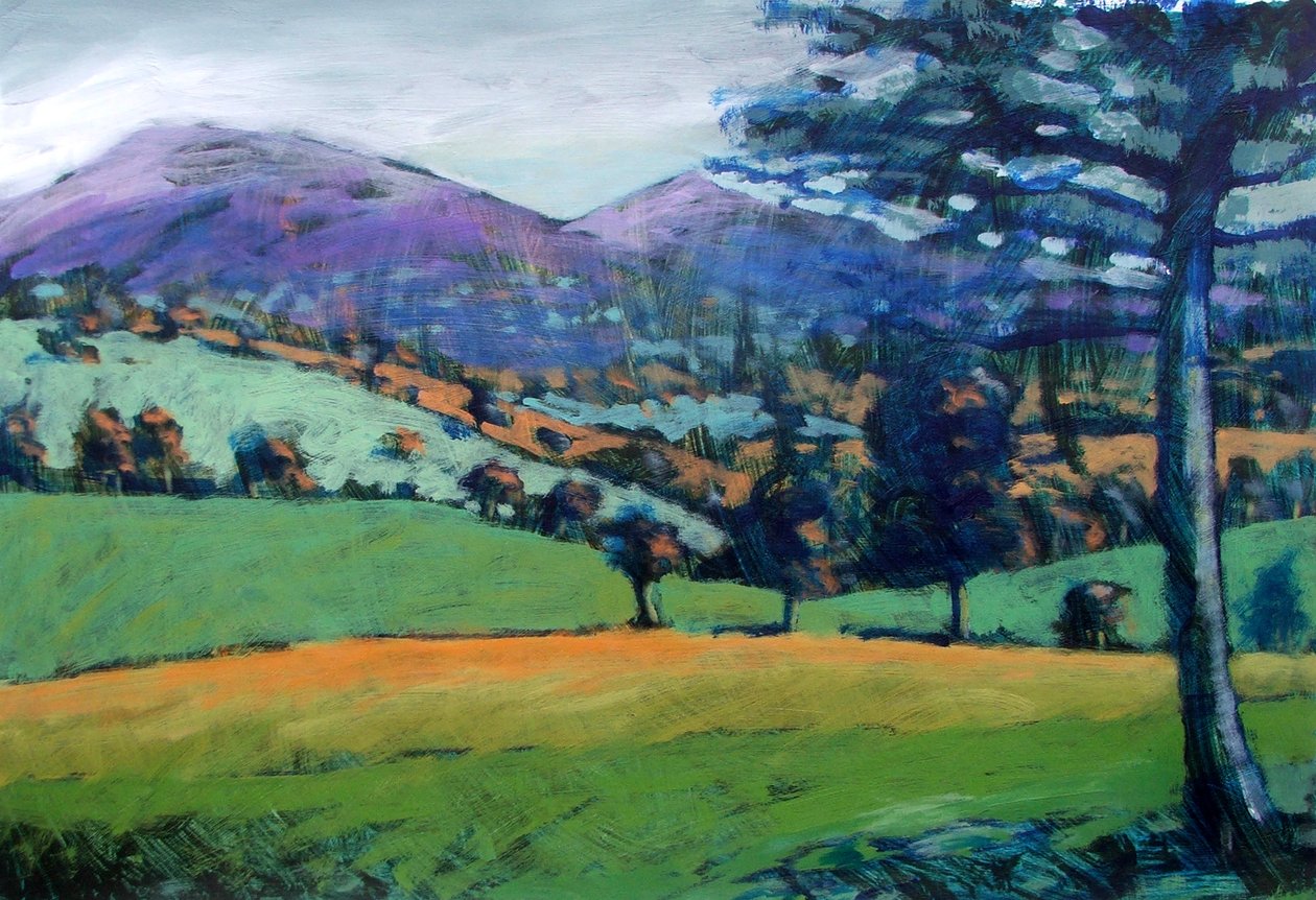 Nebelmorgen von Paul Powis