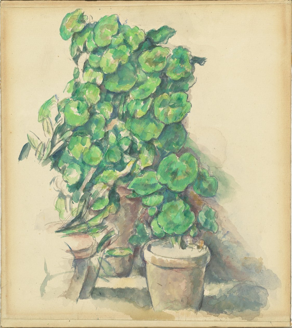 Geranien von Paul Cézanne