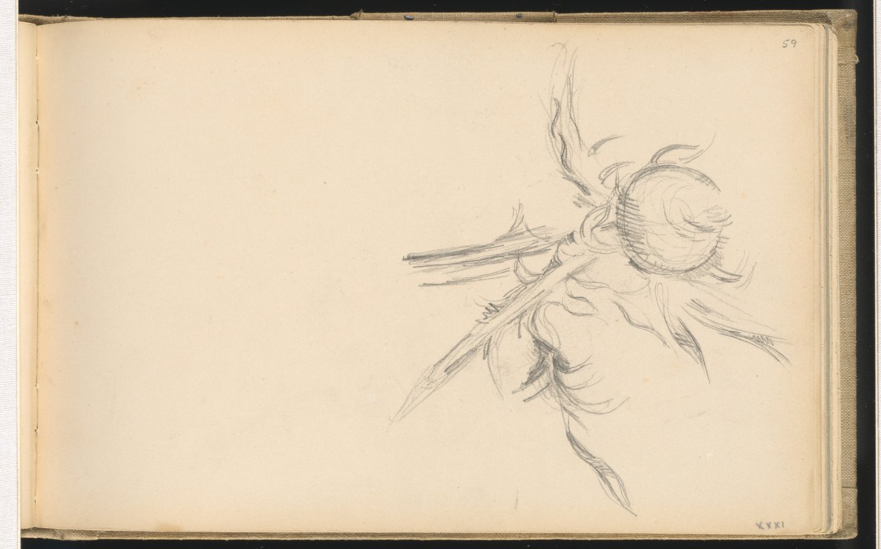 Distel von Paul Cézanne