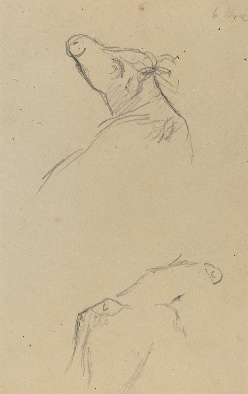 Zwei Kuhköpfe [verso] von Paul Gauguin