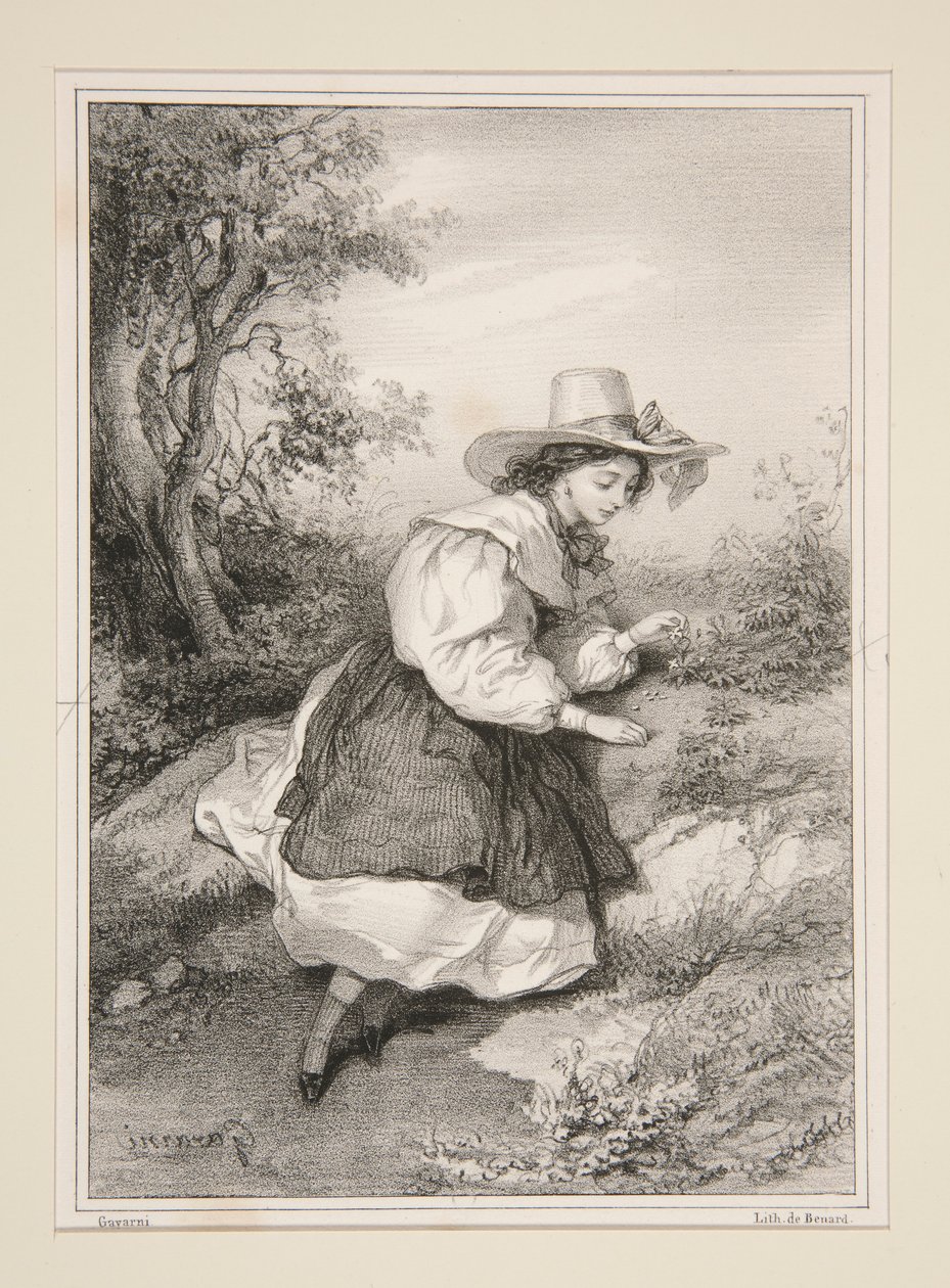 Die zwei Gänseblümchen. von Paul Gavarni