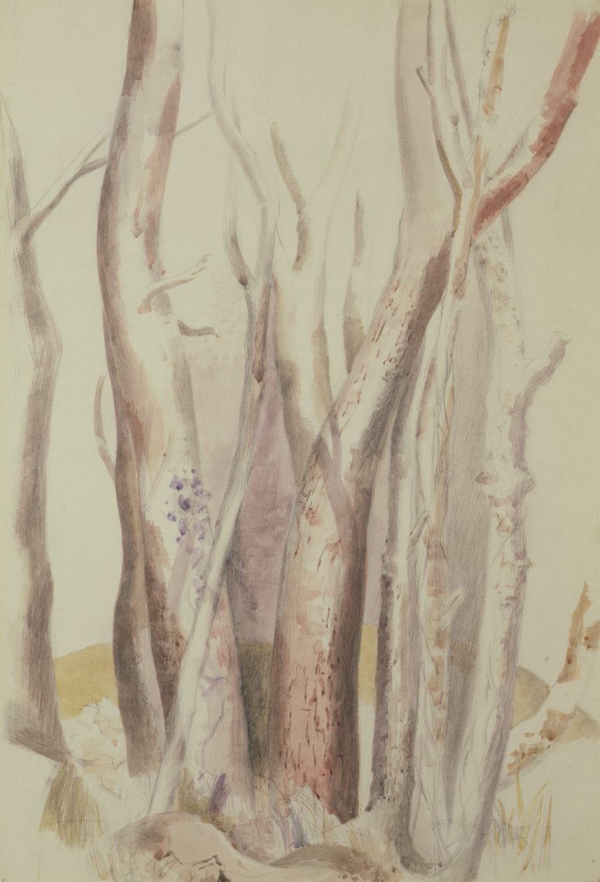 Studie einer bewaldeten Landschaft von Paul Nash