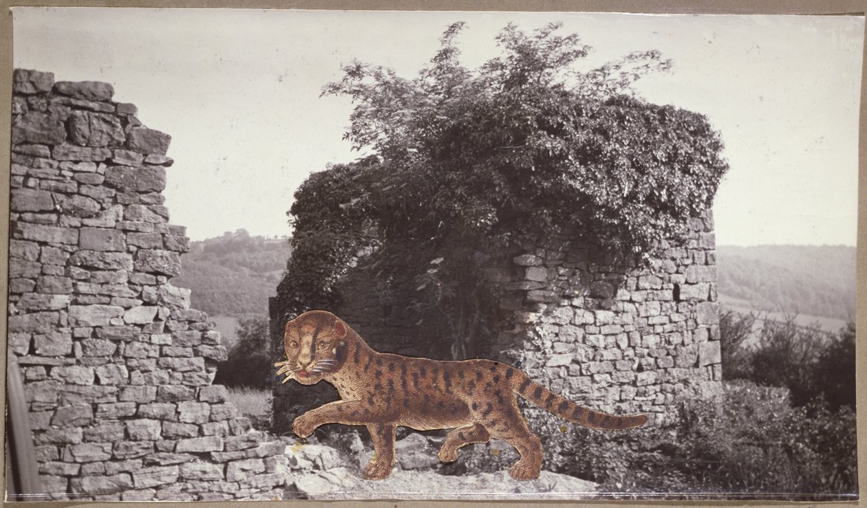 Tiger, Tiger, ca. 1938 (Collage) von Paul Nash