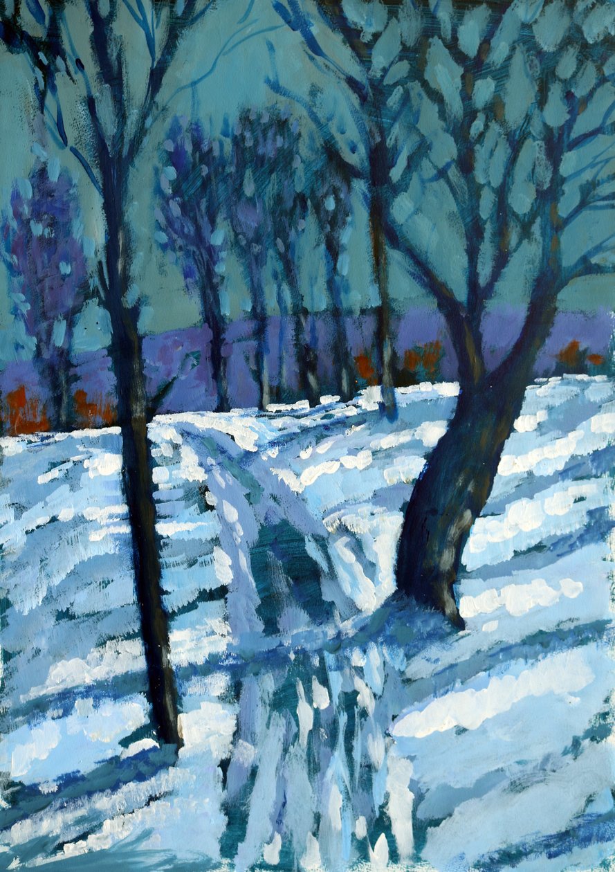 Schnee von Paul Powis