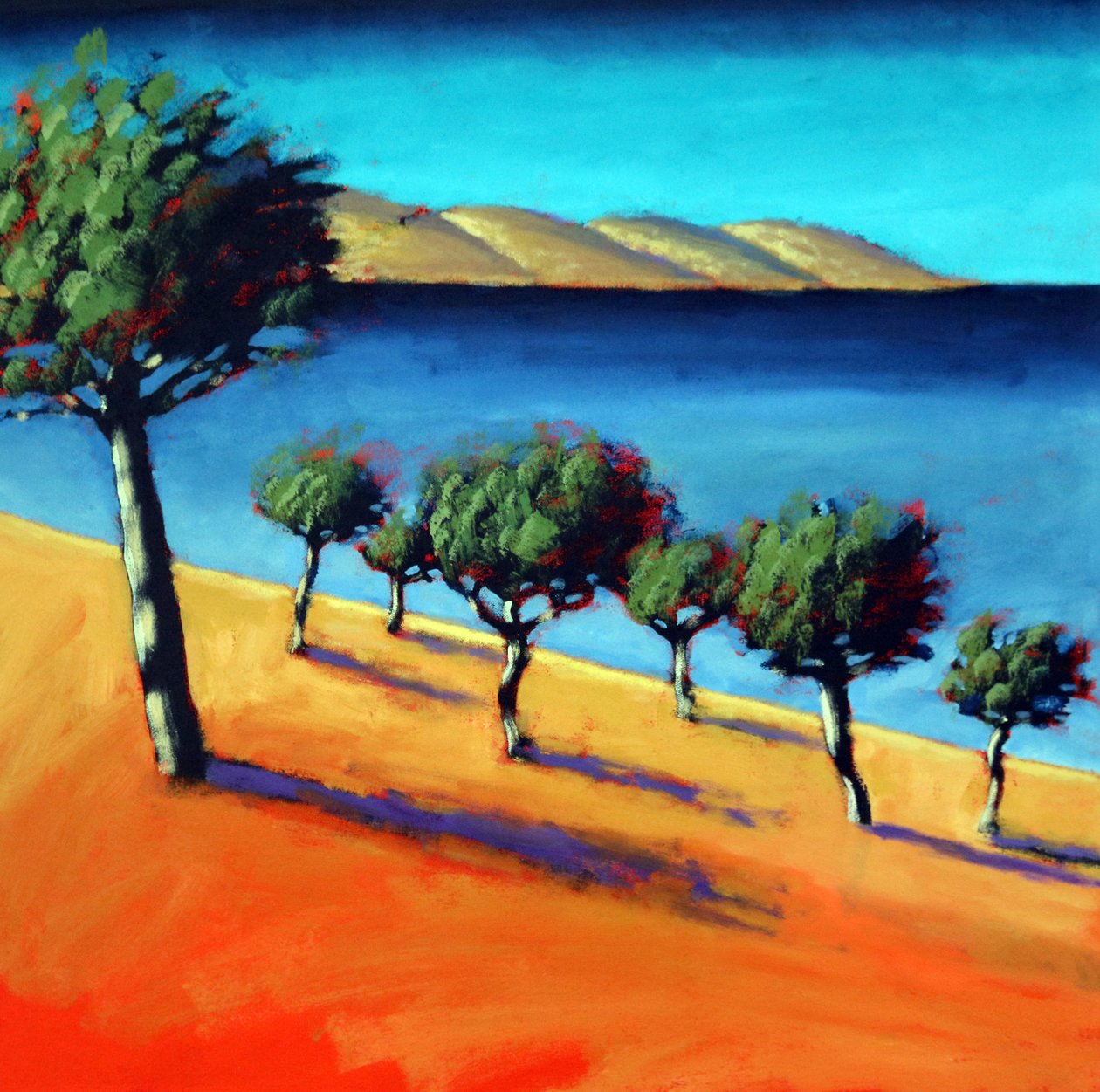 Die Bucht von Paul Powis