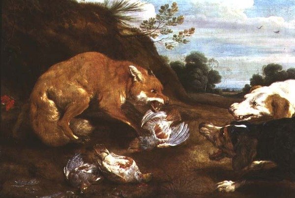 Fuchs und Hunde kämpfen um Rebhühner von Paul De Vos
