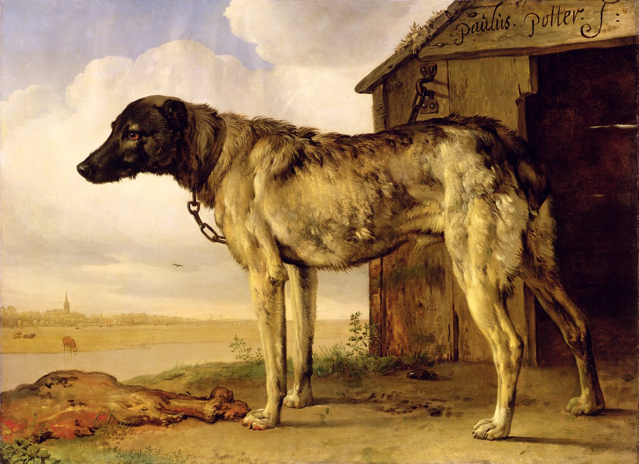 Hund an einer Kette von Paulus Potter