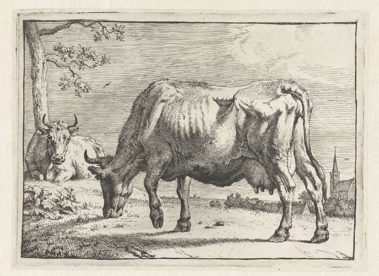 Weidende Kuh von Paulus Potter