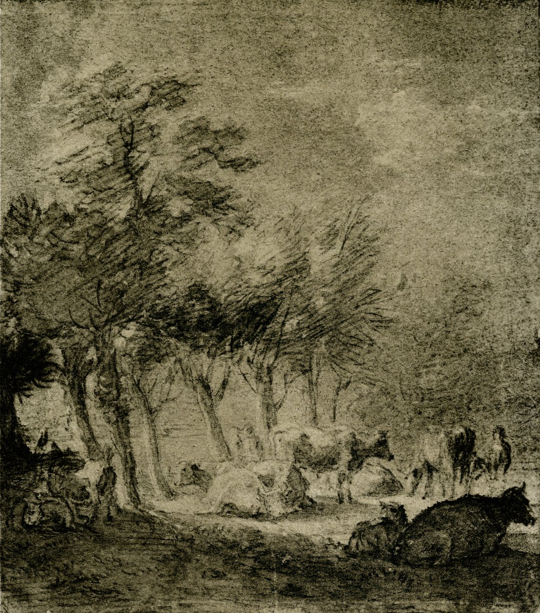 Weide von Paulus Potter