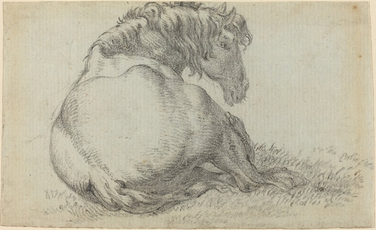 Ruhendes Pferd von Paulus Potter