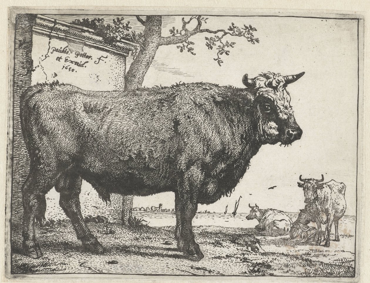 Stier von Paulus Potter