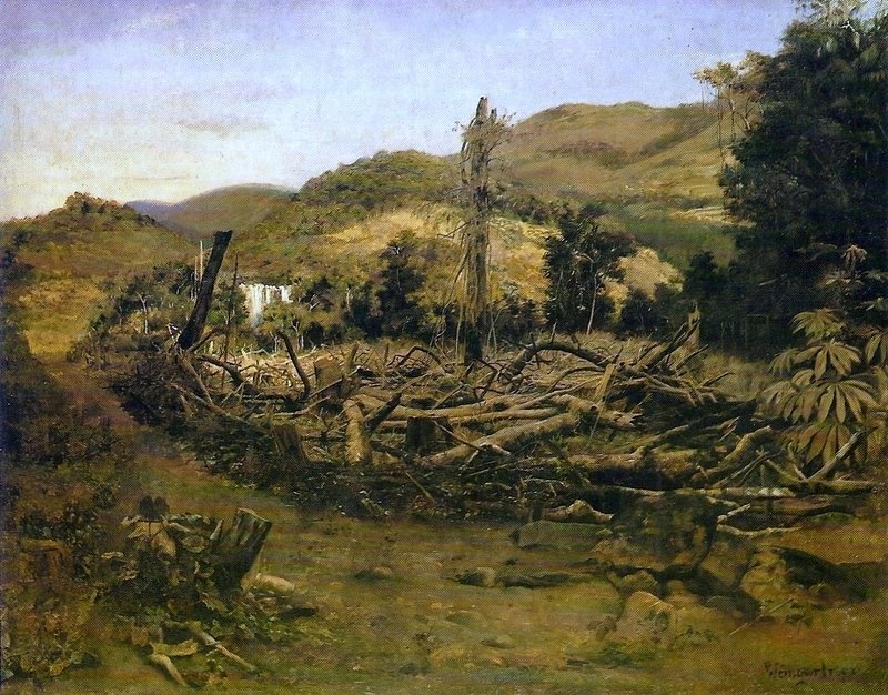 Baumfällung von Pedro Weingärtner