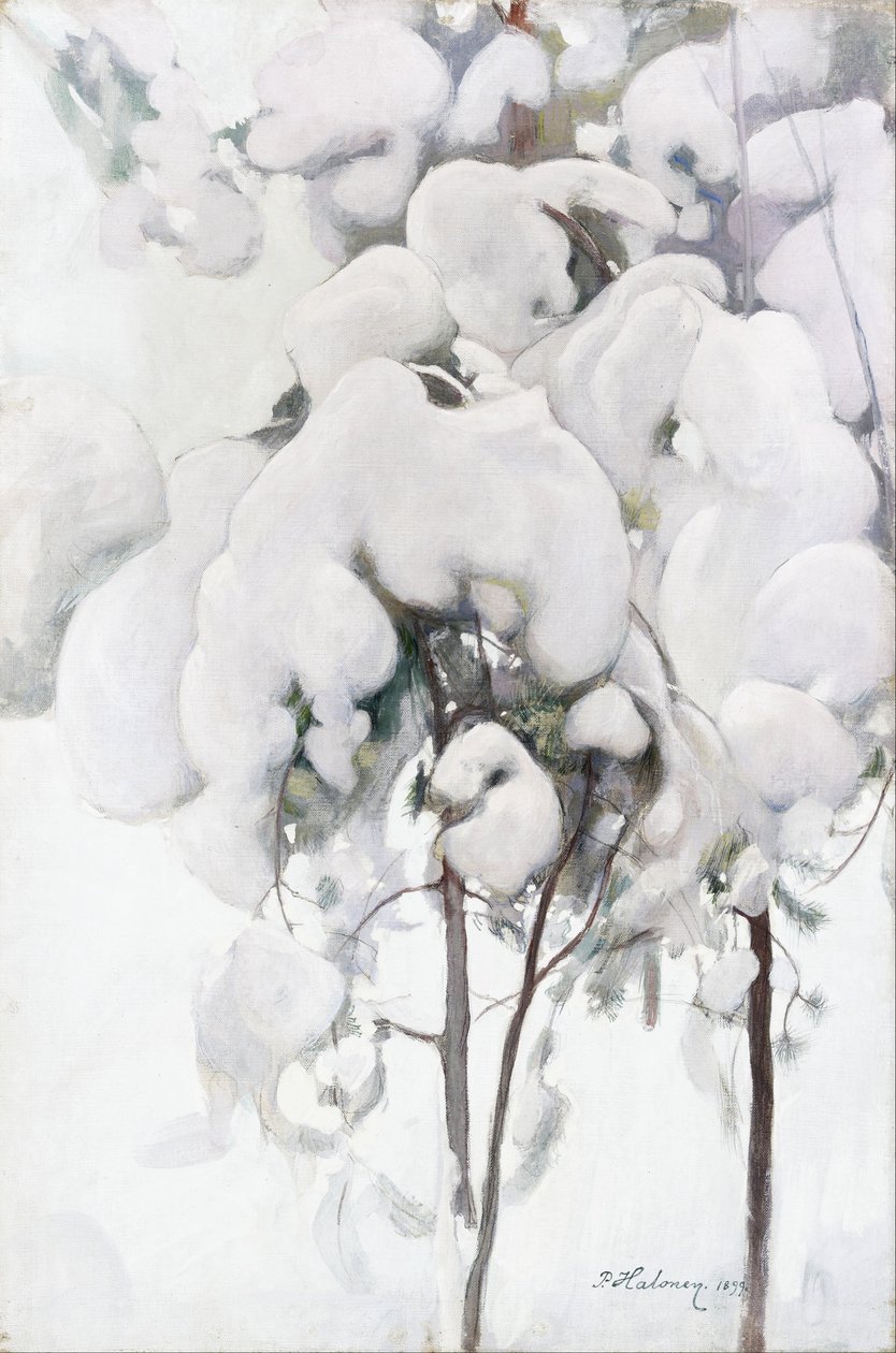 Schneebedeckte Kiefernsämlinge von Pekka Halonen