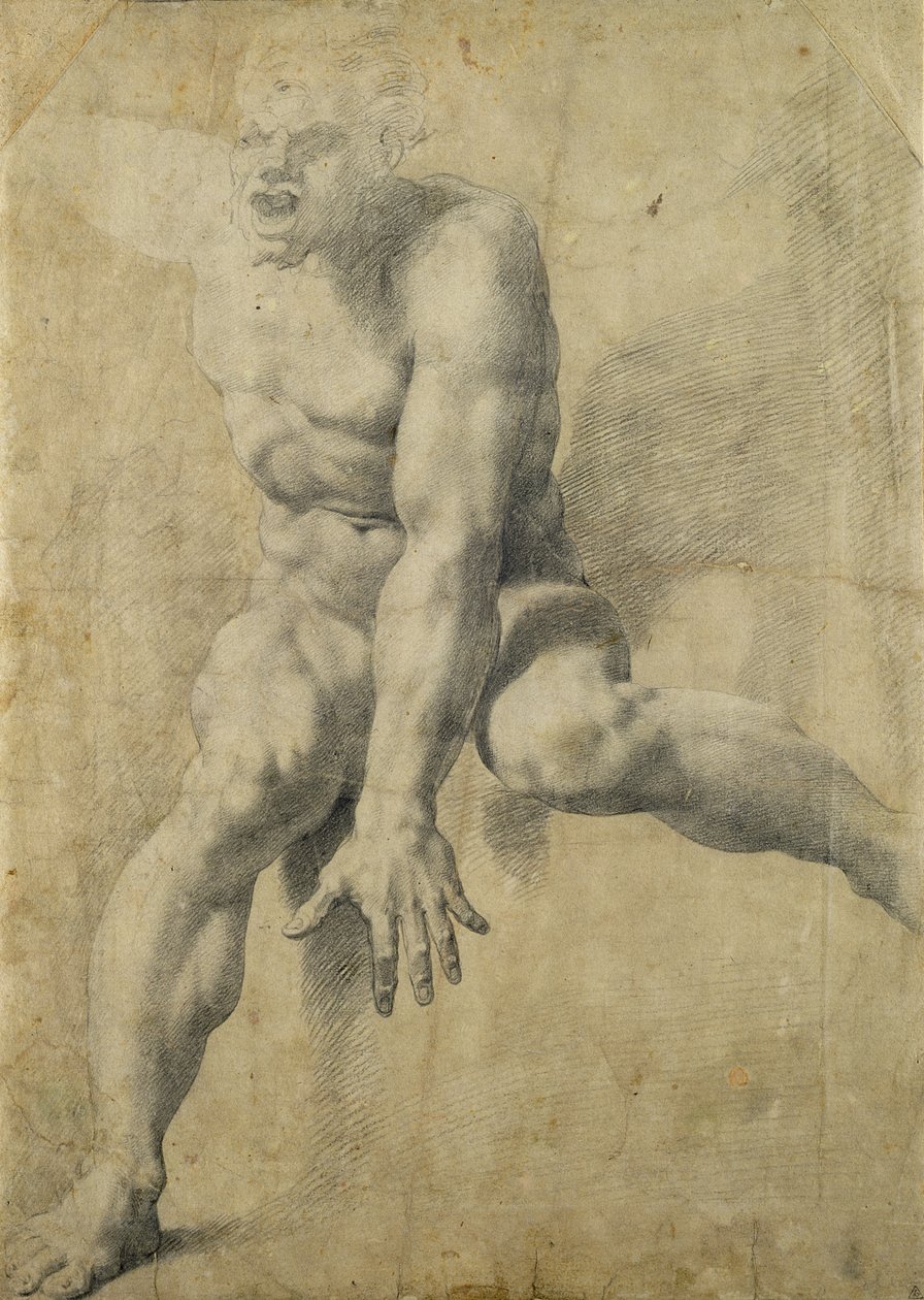 Polyphem (schwarze Kreide auf Papier) von Pellegrino Tibaldi