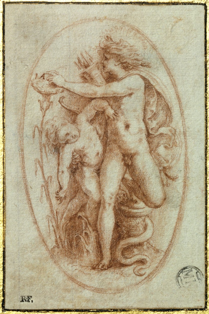 Apollo und Hyacinth von Perino del Vaga