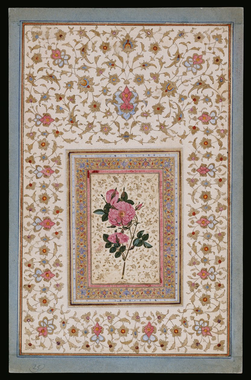 Studie einer Rose von Persian School