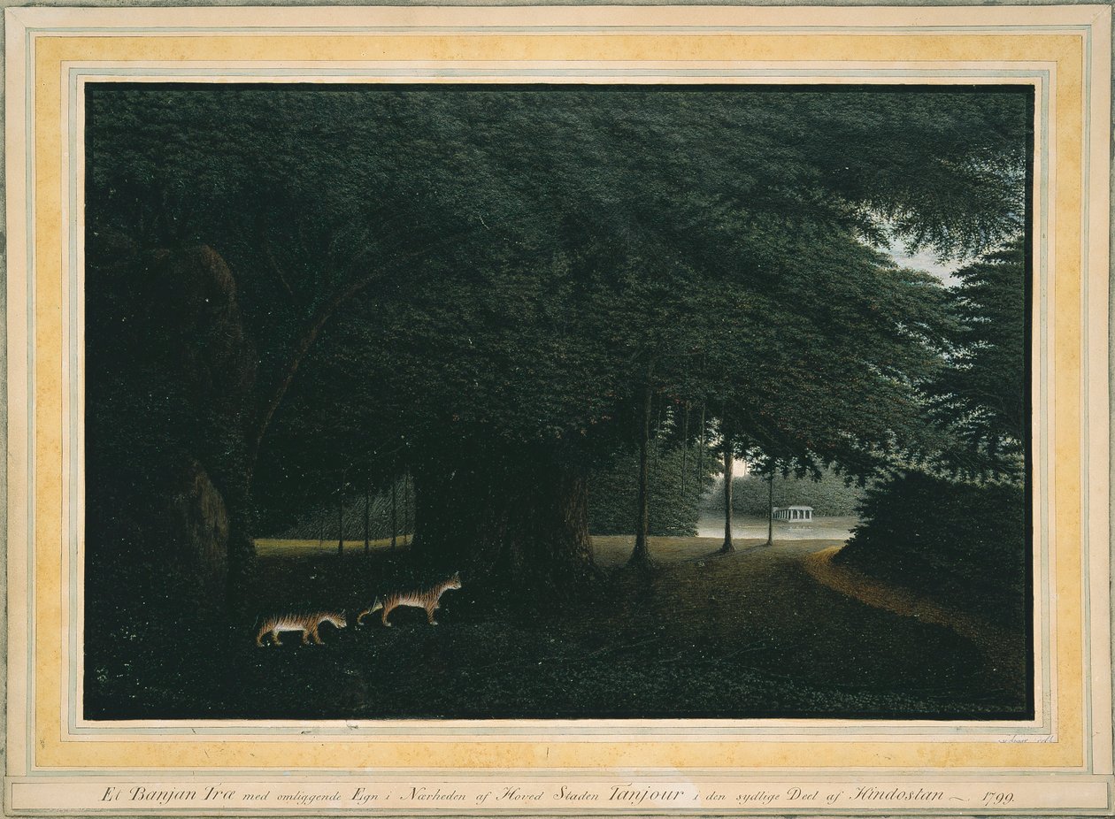Ein Banyanbaum von Peter Anker