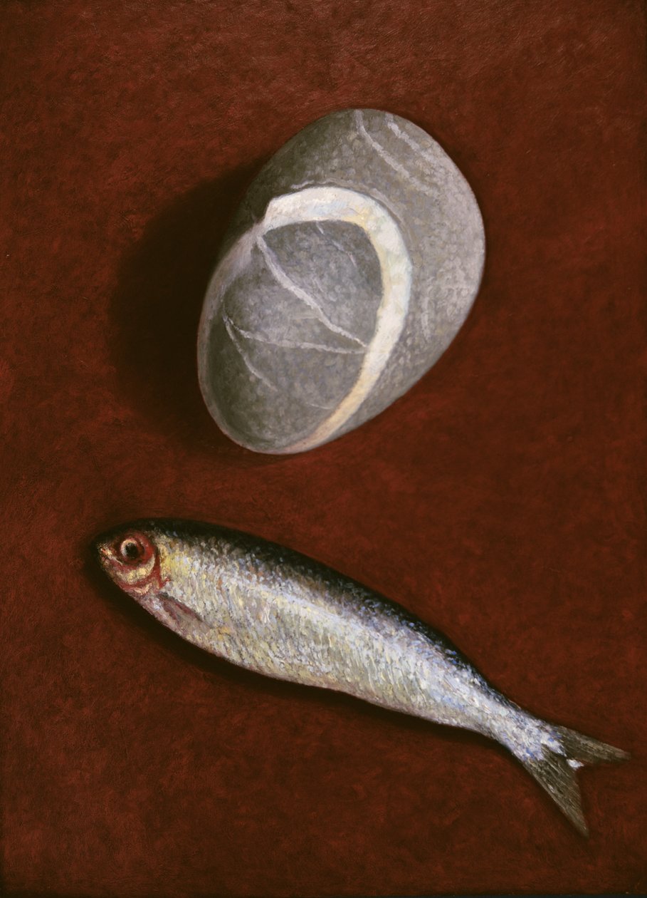Fisch und Felsform, 1997 von Peter Davidson