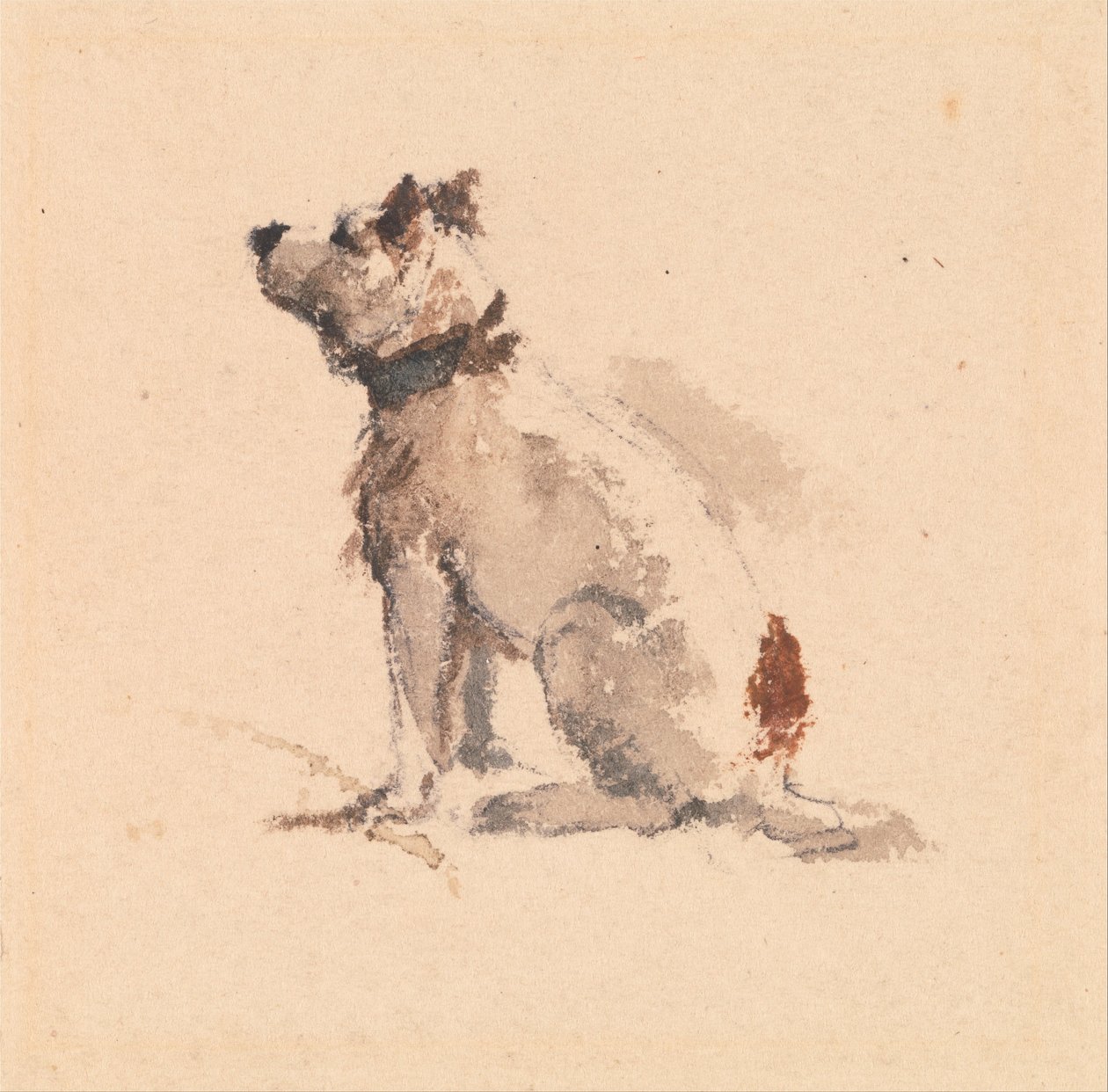 Ein Terrier, nach links sitzend von Peter de Wint