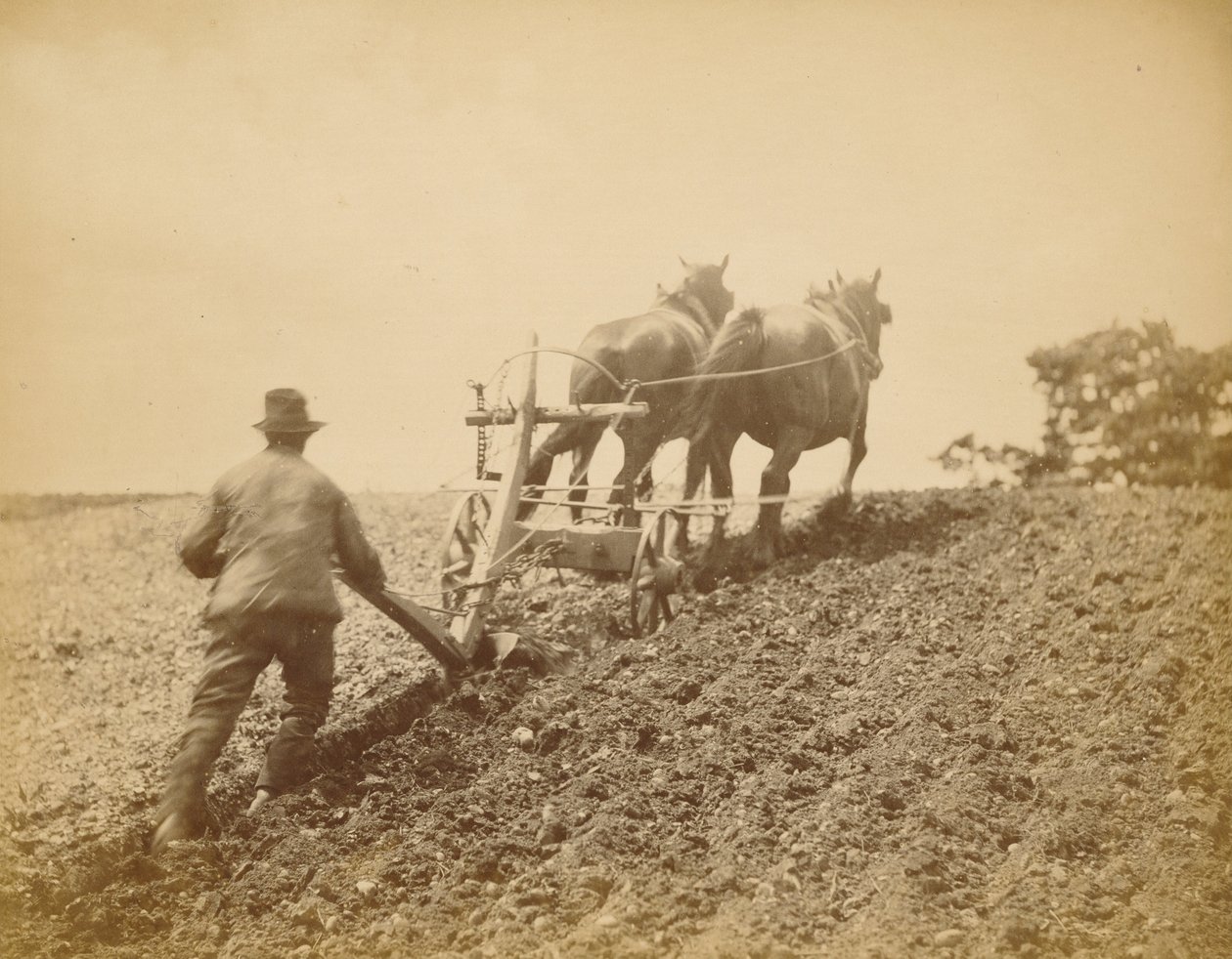 Ein harter Zug von Peter Henry Emerson