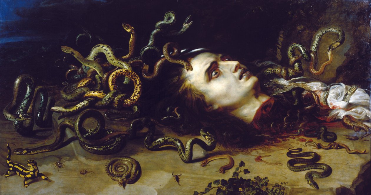 Kopf der Medusa von Peter Paul Rubens