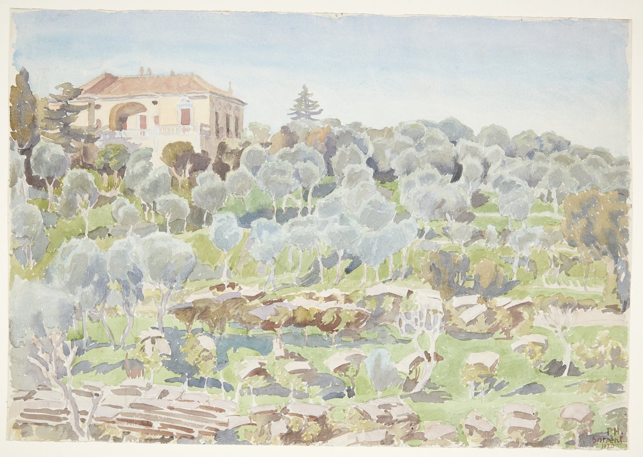 Berghang mit Olivenbäumen und einer Villa von Peter Hansen