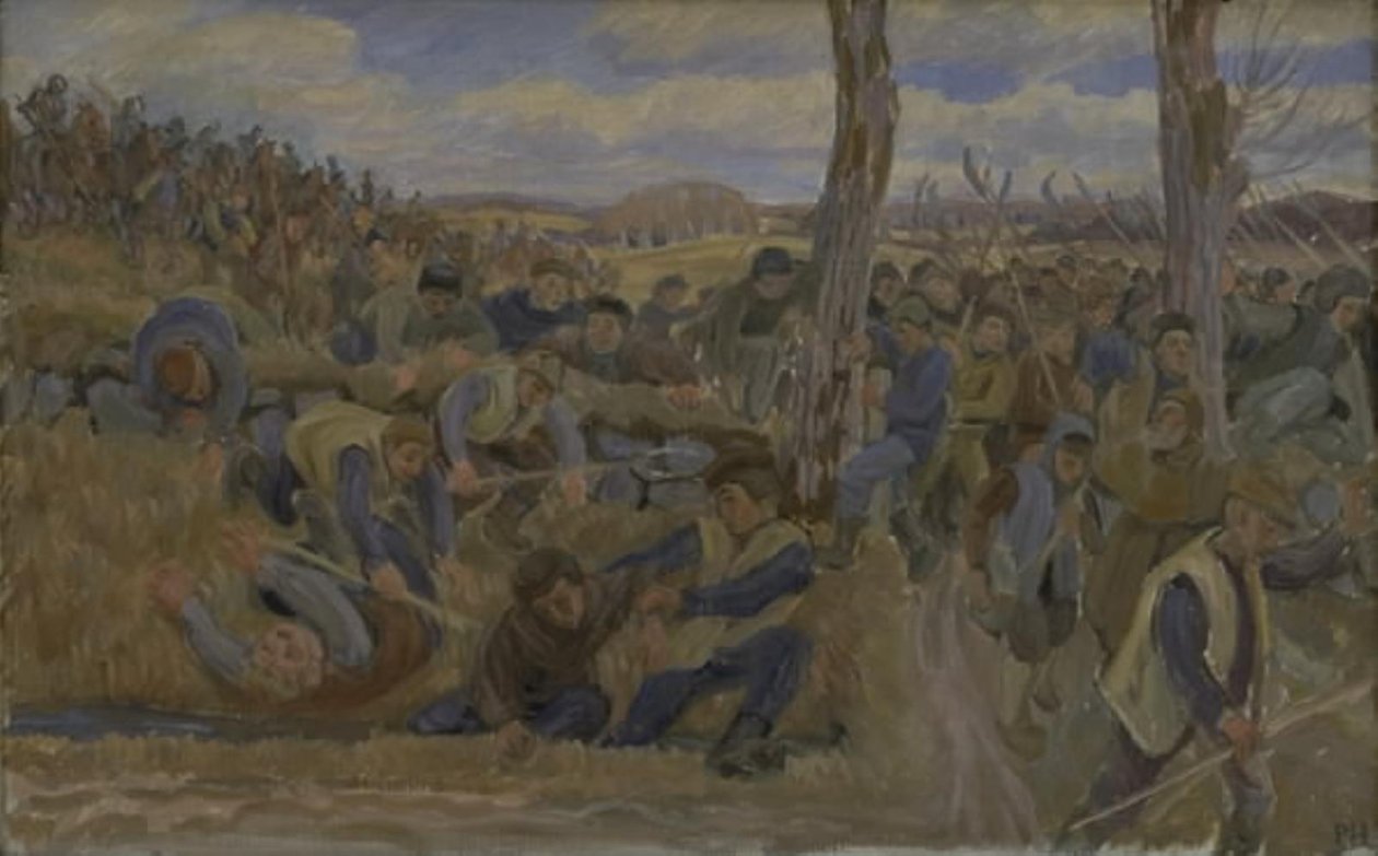 Der Grafenfehde von Peter Hansen